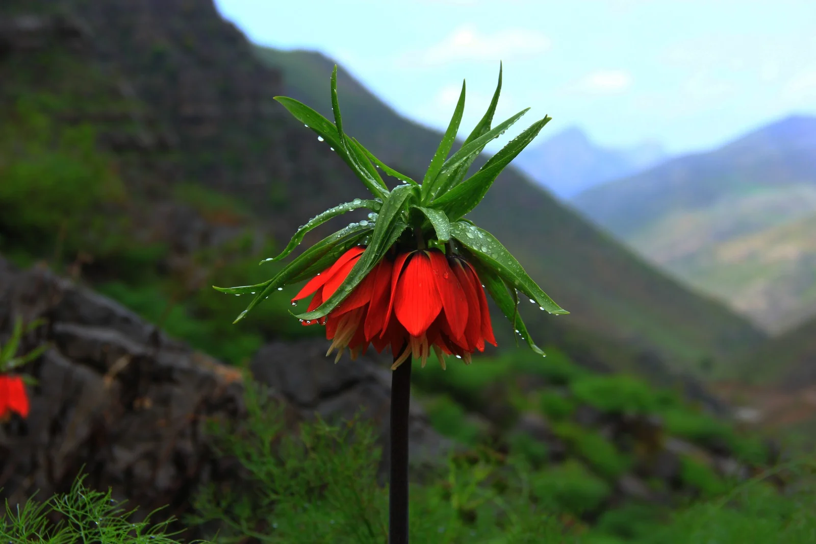 galeri_20260211_111151_6fe26c8418cff367360f